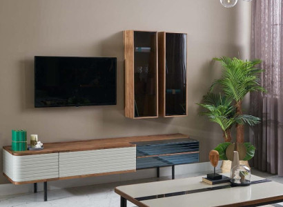 Wohnwand TV Ständer RTV Lowboard Sideboard Braun Holz Schrank Modern